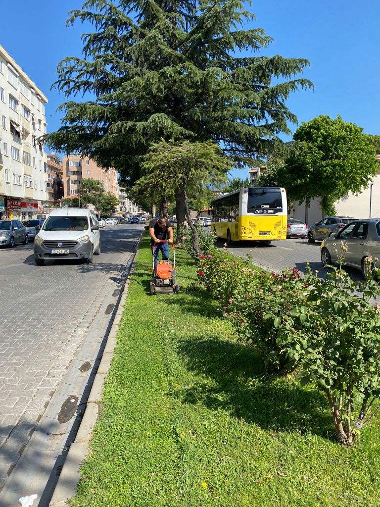 Edremit Şimdi Bambaşka! 506440981 727861949604833 1194407659831435166 n - Marmara Bölge Gazetesi