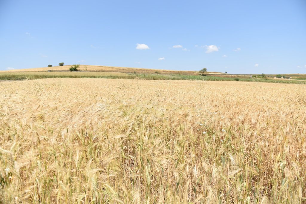 Balıkesir’de Biçerdöverler Sahaya İndi 506651050 1117467830424078 5266544871639771458 n - Marmara Bölge Gazetesi