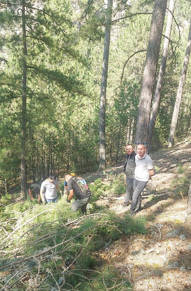 507810321 1167620862072917 3359958474457331448 n - Marmara Bölge Gazetesi