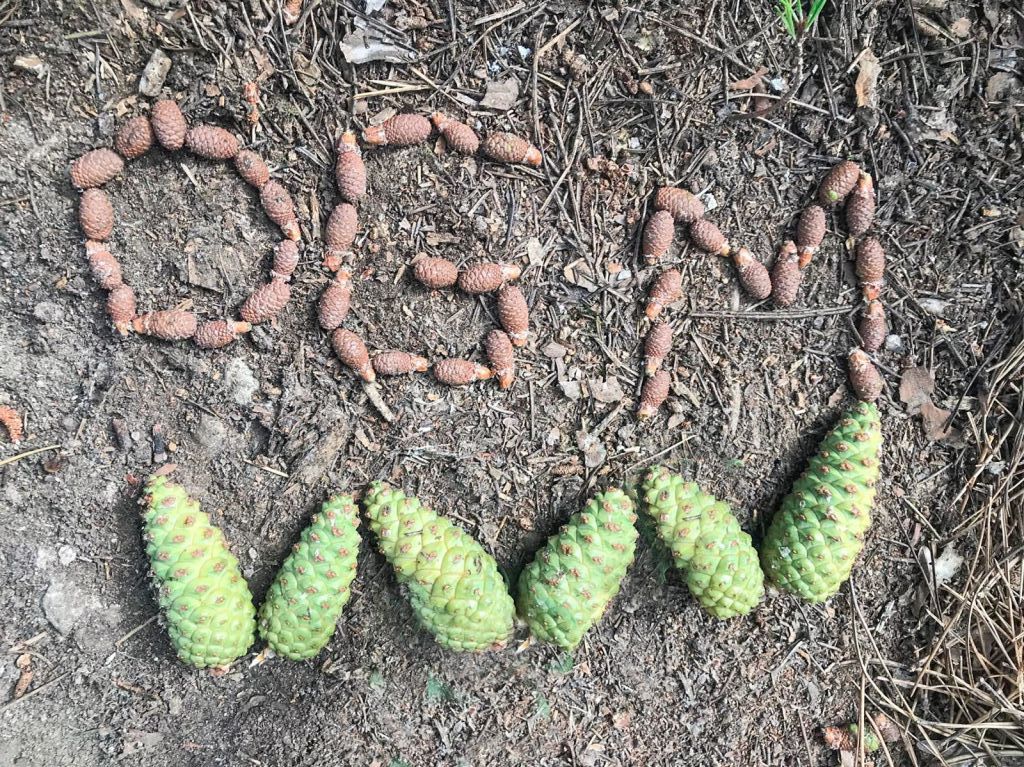 508016593 1167620818739588 1772879007078489866 n e1750079478294 - Marmara Bölge Gazetesi