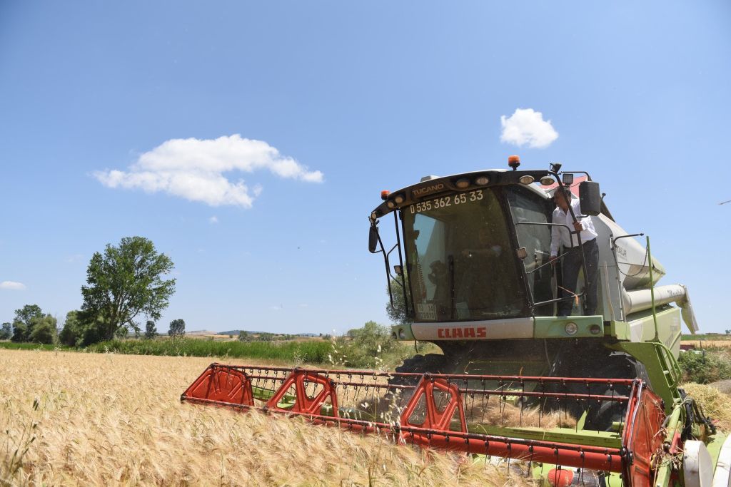 Balıkesir'de hububat hasadı başladı. İl Tarım ve Orman Müdürü Dr.