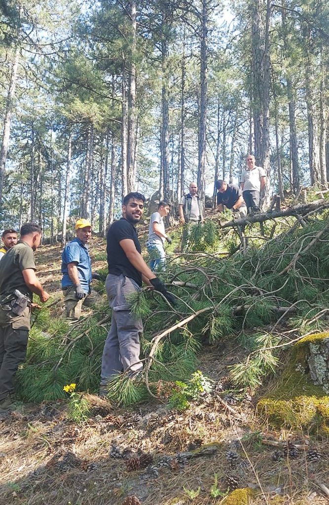 508182812 1167620815406255 3452257682216760532 n - Marmara Bölge Gazetesi