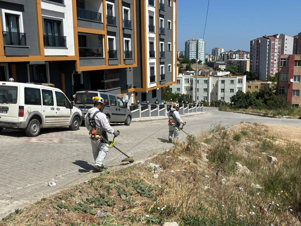 509673917 18316853080225400 4847040339332122103 n - Marmara Bölge Gazetesi