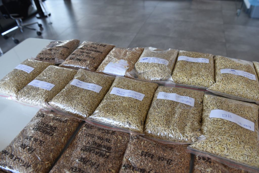 Balıkesir’in Gönen ilçesinde faaliyet gösteren tohum üretim tesisi, yerli tarımın