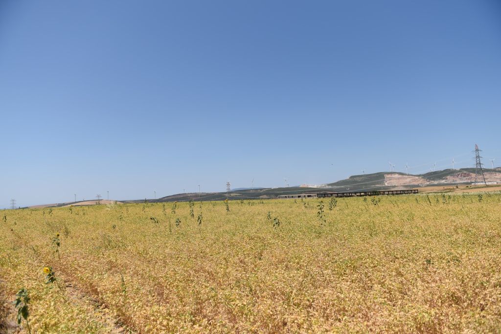 Balıkesir İl Tarım ve Orman Müdürü Hüseyin Düzgün, Bandırma kırsalında