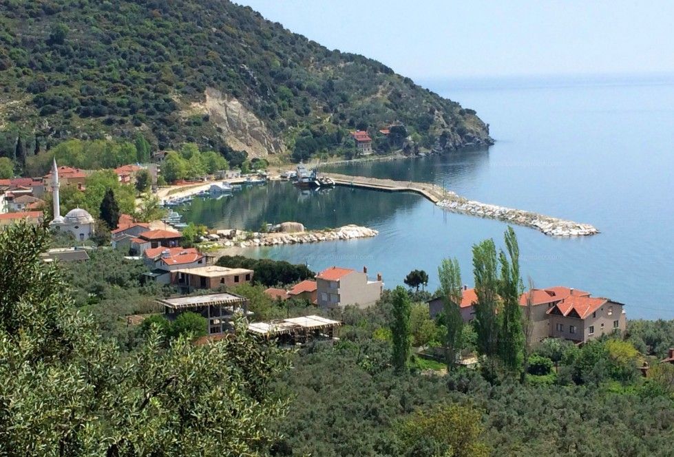Balıkesir’de Her Sokağı Denize Çıkan Taş Evlerin Gölgesinde Bir Sahil Köyü 5fb4980d4b0bdcacd2b7a529f86d70ec m e1750679877700 - Marmara Bölge Gazetesi