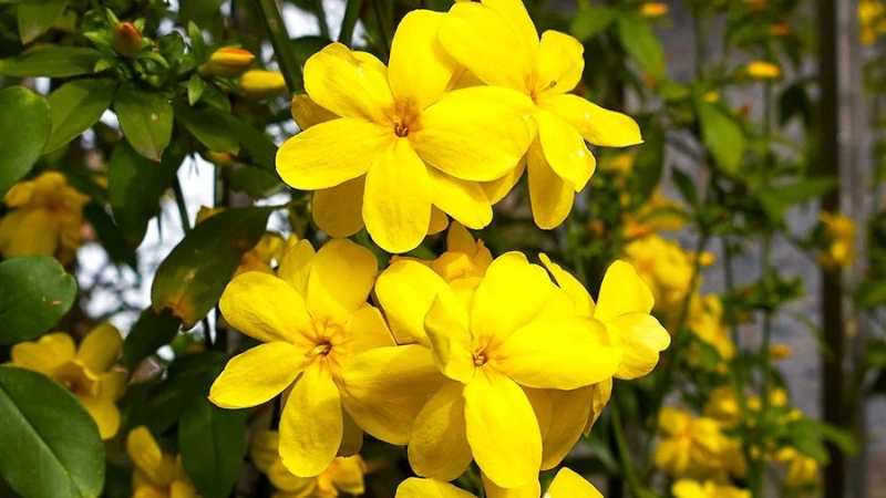 6 20 - Marmara Bölge Gazetesi