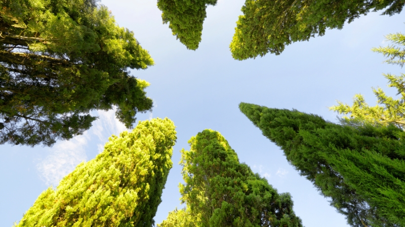 6 27 - Marmara Bölge Gazetesi