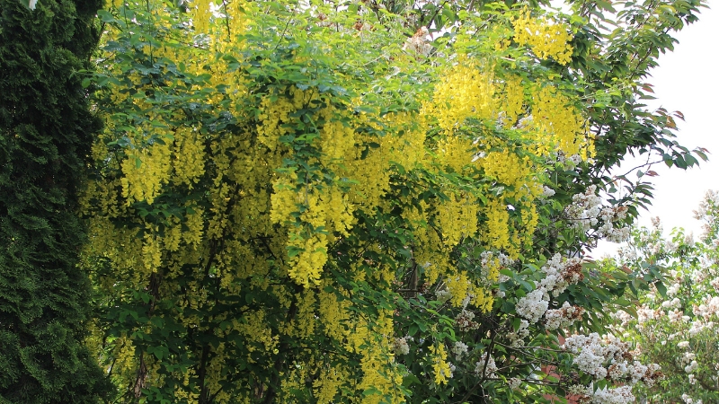 6 3 - Marmara Bölge Gazetesi