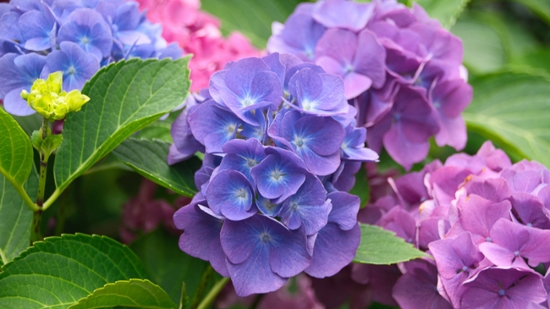 6 38 - Marmara Bölge Gazetesi