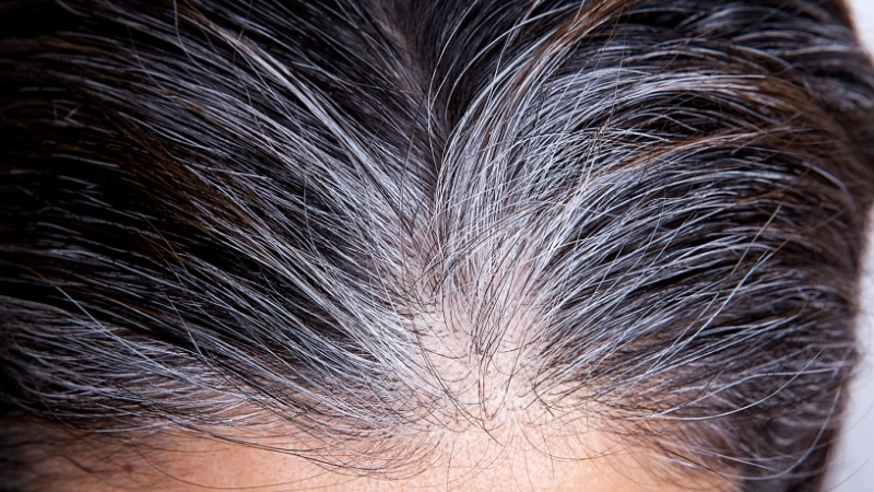 6 59 - Marmara Bölge Gazetesi