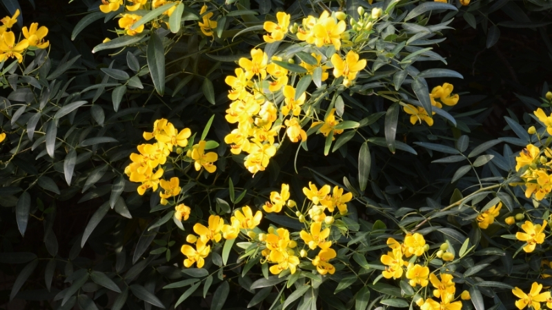 6 62 - Marmara Bölge Gazetesi