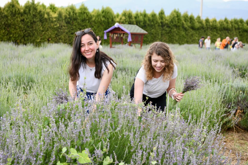 6688edace0ddf balikesir 5. aromaterapi festivali kapilarini araladi 15 - Marmara Bölge Gazetesi