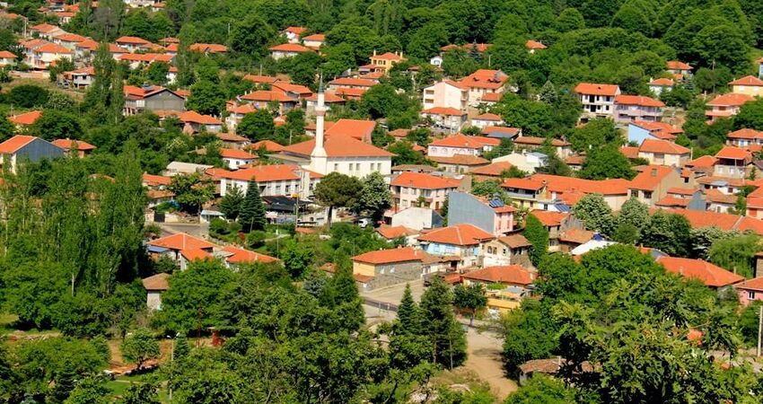 6974 b - Marmara Bölge Gazetesi