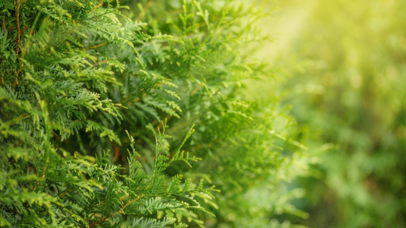 7 19 - Marmara Bölge Gazetesi