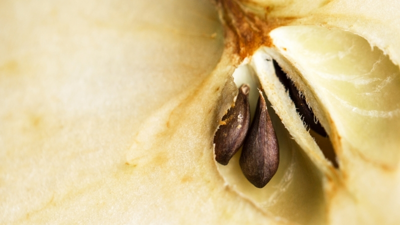 7 39 - Marmara Bölge Gazetesi