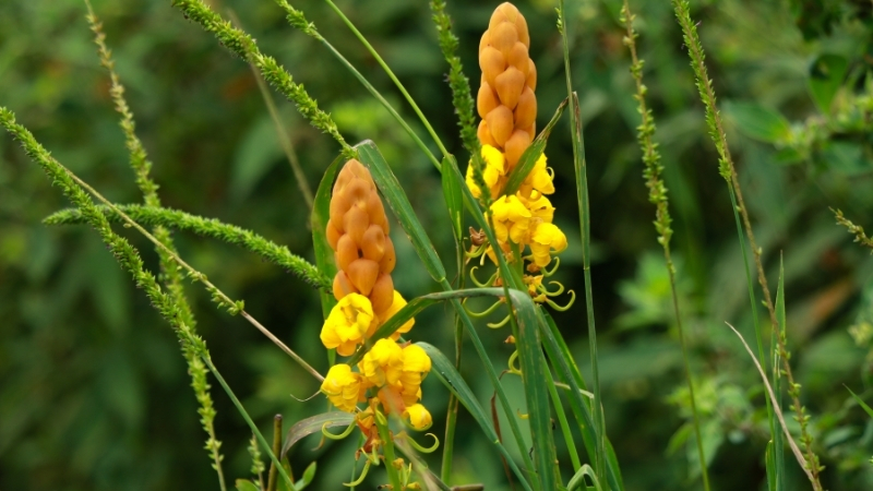 7 47 - Marmara Bölge Gazetesi