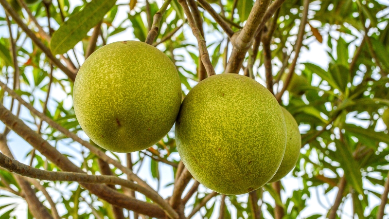 7 5 - Marmara Bölge Gazetesi