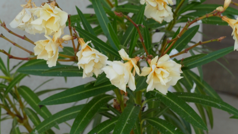 7 6 - Marmara Bölge Gazetesi