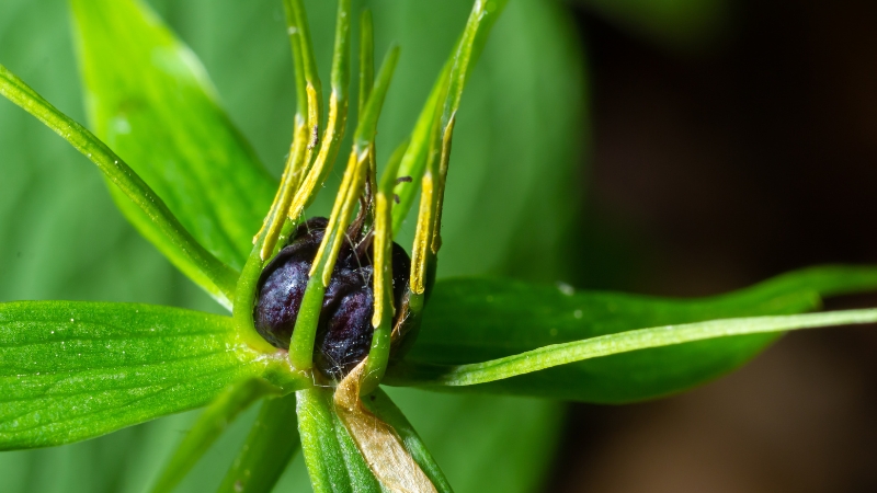 7 9 - Marmara Bölge Gazetesi