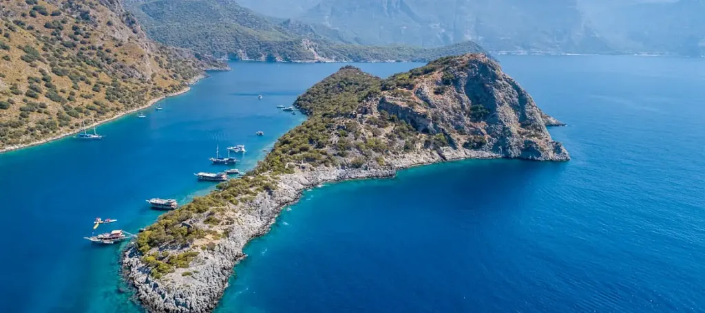 76d2bacf 5147 4f96 b3eb f5a4ae3b01f6 1723121222 WskVYN - Marmara Bölge Gazetesi