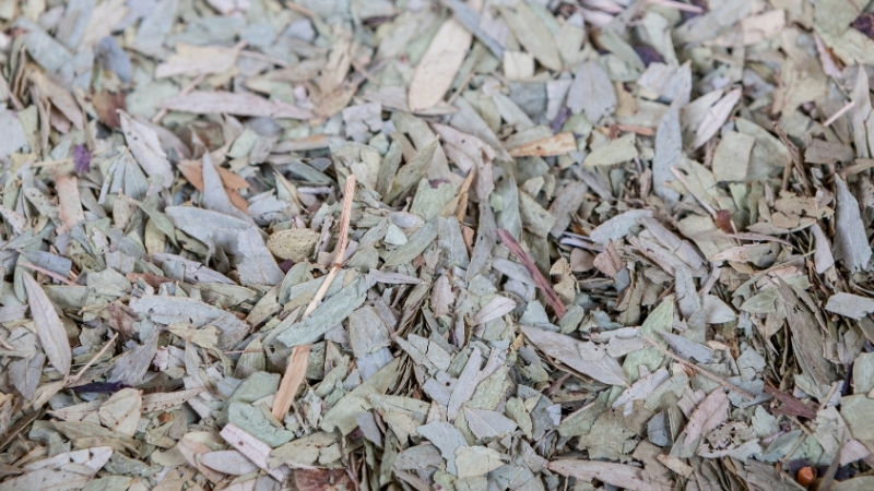 8 29 - Marmara Bölge Gazetesi