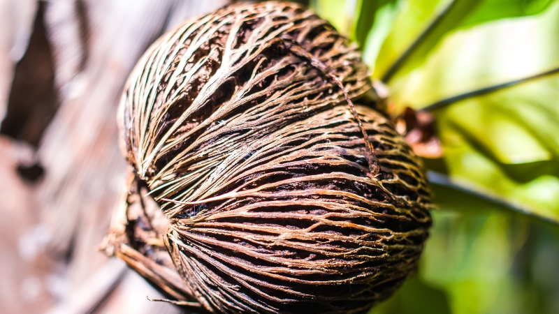 8 3 - Marmara Bölge Gazetesi