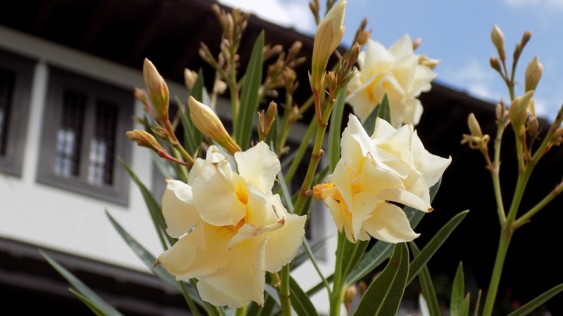 8 4 - Marmara Bölge Gazetesi