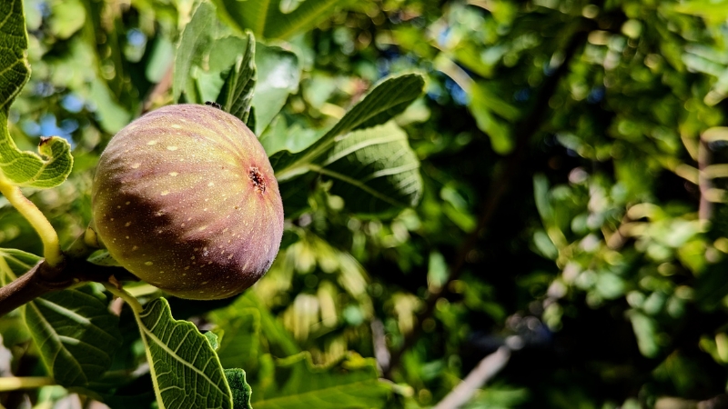 8 - Marmara Bölge Gazetesi