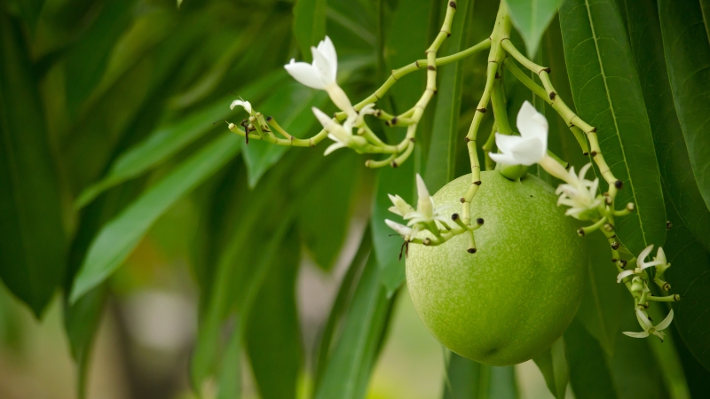 9 2 - Marmara Bölge Gazetesi