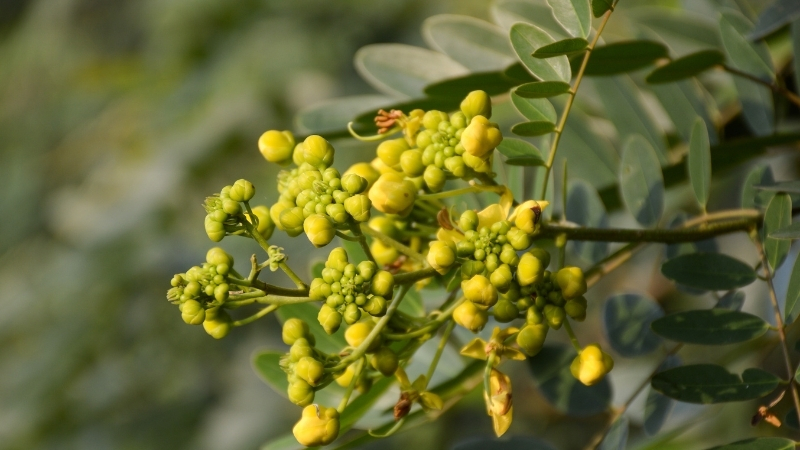 9 20 - Marmara Bölge Gazetesi