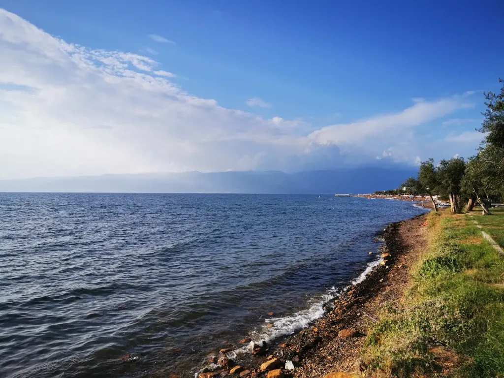 Balıkesir Burhaniye’de Zeytin Ağaçlarının Altında Gizlenen Koy AF1QipN8 DAWztUV9 U0ZfREy3QE w4oRmDZu4As7kr2s1600 k no - Marmara Bölge Gazetesi