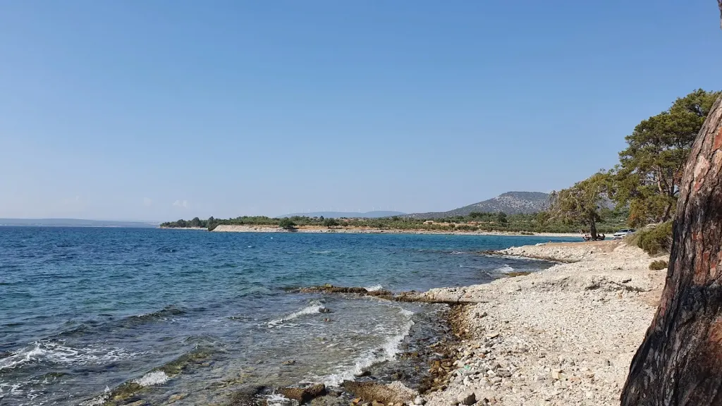 AF1QipNfA9F7m9KRZ1sUAhwbOPz3D2kRUbwa ZqwM5i s1600 k no - Marmara Bölge Gazetesi
