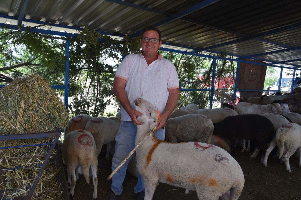 AW471081 01 - Marmara Bölge Gazetesi