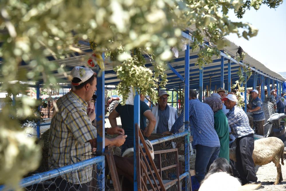 Balıkesir’in Sındırgı ilçesinde Kurban Bayramı öncesi hareketlilik doruk noktasına ulaştı.