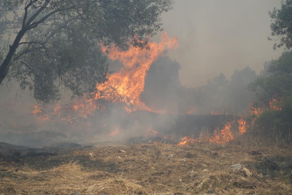 Balıkesir’in Edremit ilçesi Eminkuyu mevkiinde çöplük alanında başlayan yangın, şiddetli
