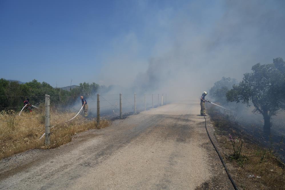 AW473368 03 - Marmara Bölge Gazetesi