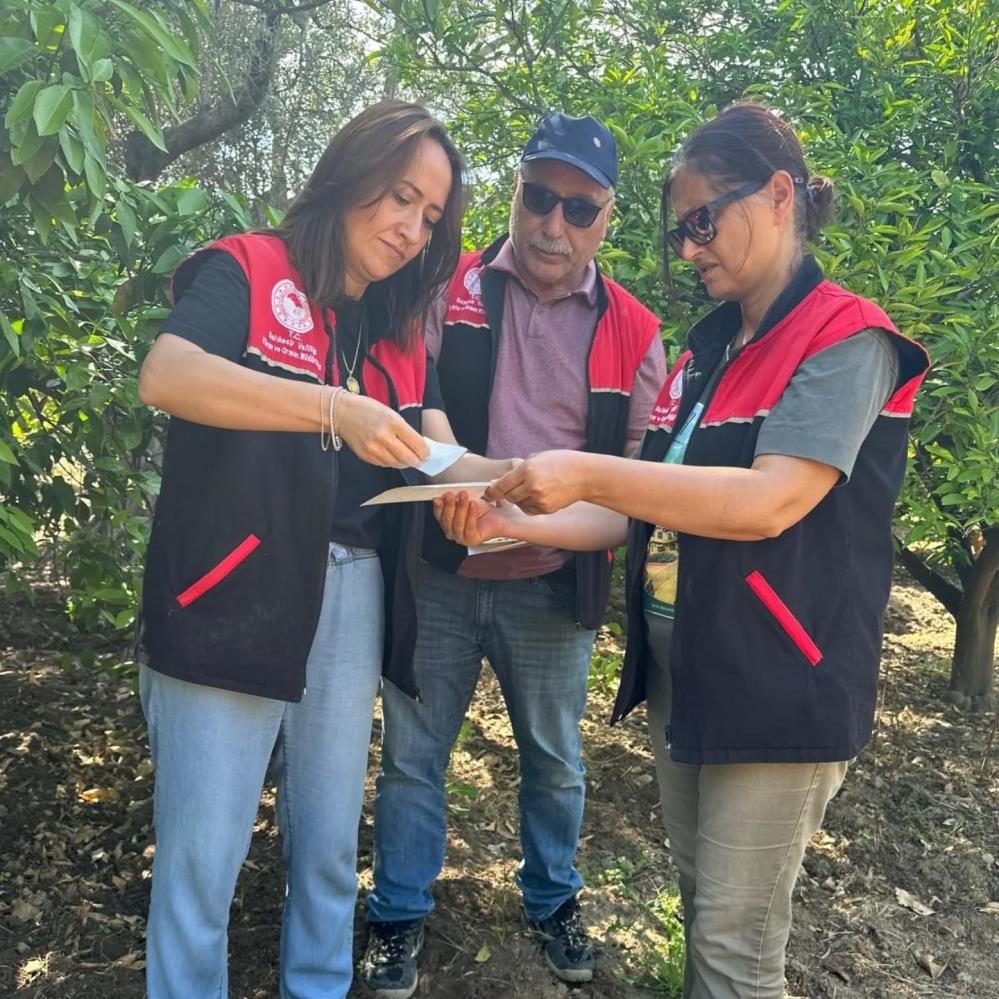 Edremit'te Kırmızı Alarm Verildi! AW473812 04 - Marmara Bölge Gazetesi