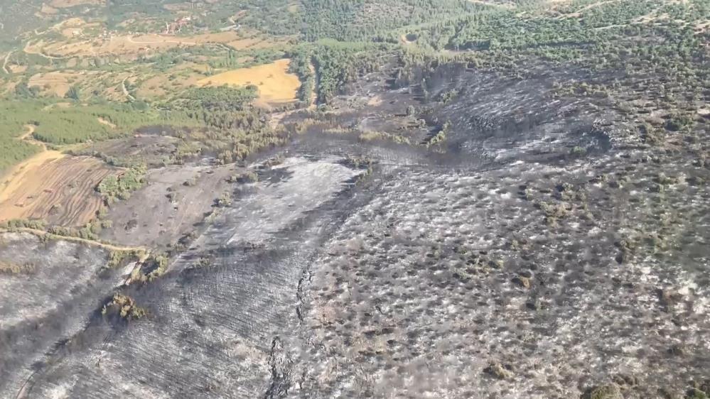 Balıkesir'in Kepsut ilçesine bağlı Nusret ve Sarıfakılar mahallelerinde çıkan orman