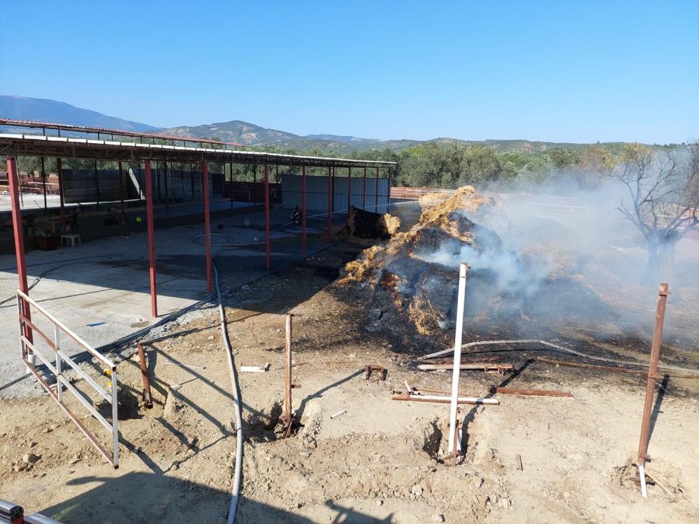 Balıkesir’in Edremit ilçesi Yaylaönü Mahallesi Değirmenönü Mevkii’nde bulunan bir besi