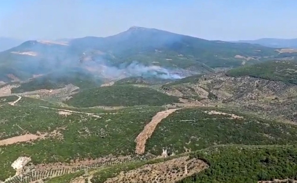 İzmir'in torbalı ilçesinde ormanlık alanda çıkan yangına havadan ve karadan