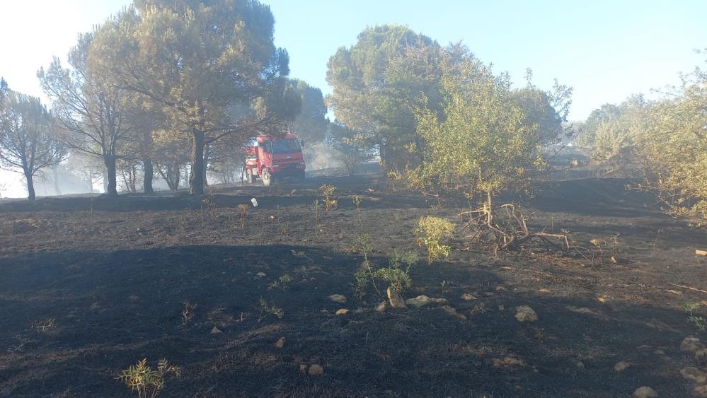 AW486864 04 - Marmara Bölge Gazetesi