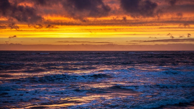 Turkuaz denizi, bakir doğası ve sessiz atmosferiyle Cennet Koyu, Bodrum'un