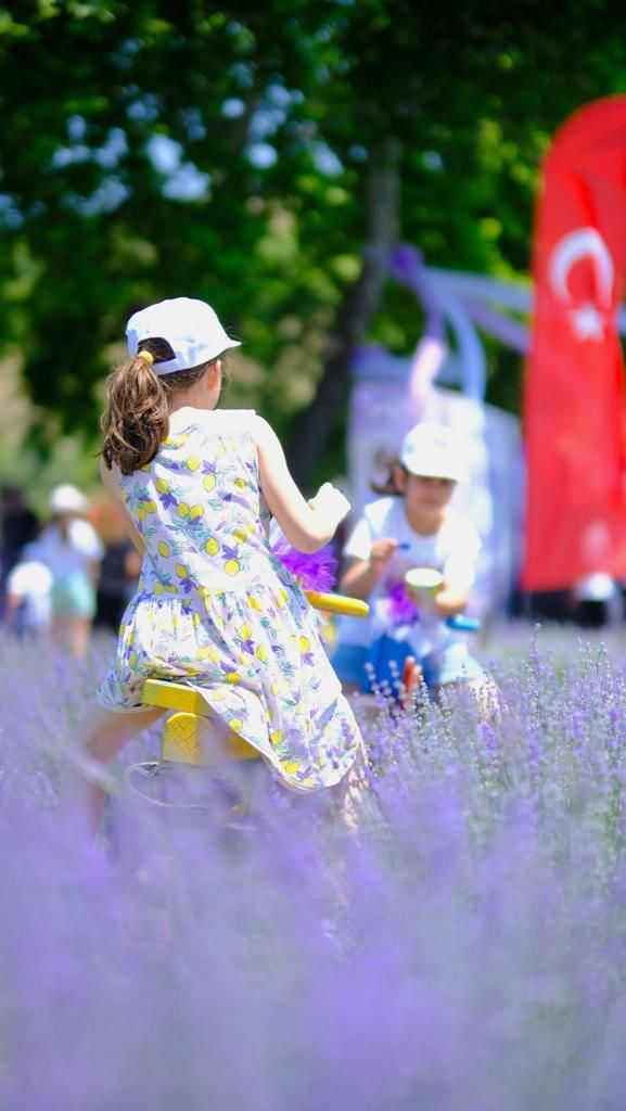 Balıkesir’de Lavanta Günleri Başlıyor Altieylulde Mor Bir Ruya Altieylul 3. Lavanta Gunleri Basli 1 - Marmara Bölge Gazetesi