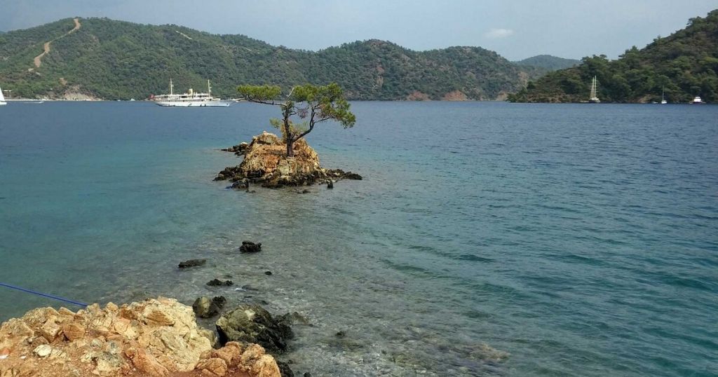 Ayten Koyu 1200x630 1 - Marmara Bölge Gazetesi