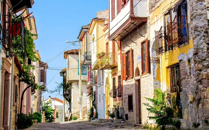 Doğayla iç içe, huzurun ve geleneksel Ege yaşamının buluştuğu Bağyüzü