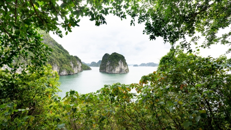 Marmara Denizi'nin kıyısında, ormanlarla çevrili sakin bir köy... Erdek'in keşfedilmemiş