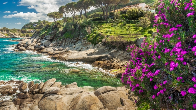 Zeytin ağaçlarının gölgesinde, sakinliğin en berrak haliyle buluştuğu bir kıyı