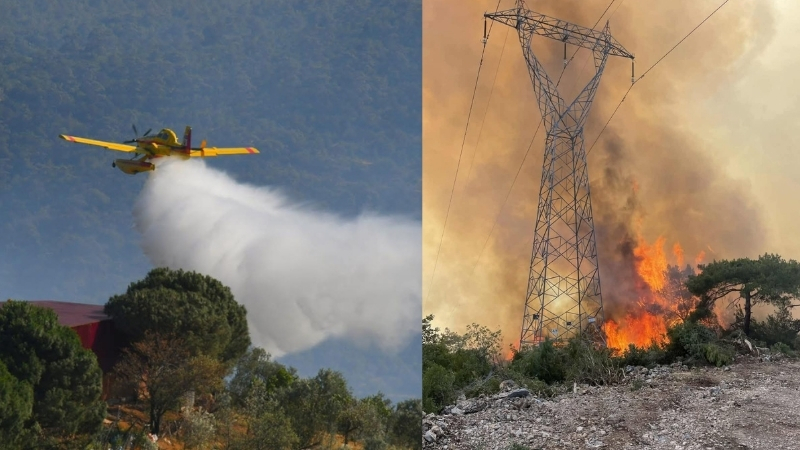 Balıkesir Havran’ın Halılar Mahallesi’nde başlayan orman yangını rüzgârın etkisiyle büyüyerek