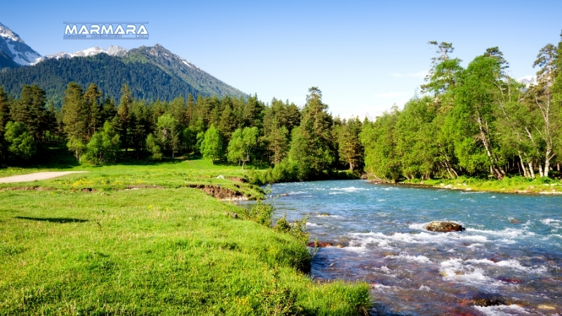 Balıkesir Orman Bölge Müdürlüğü, ormanların sürdürülebilirliği için gençleştirme sahalarında yaptığı